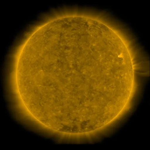 Solar Corona