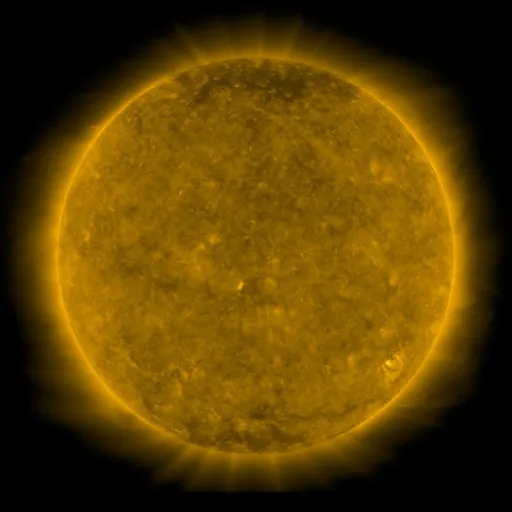Solar Corona