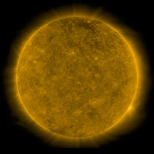 Solar Corona