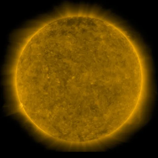 Solar Corona