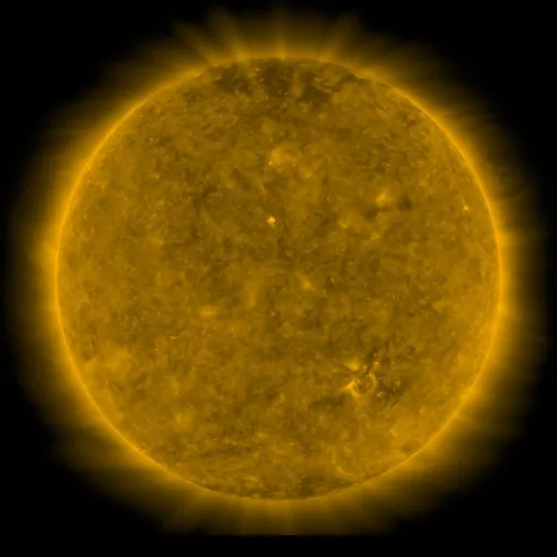 Solar Corona