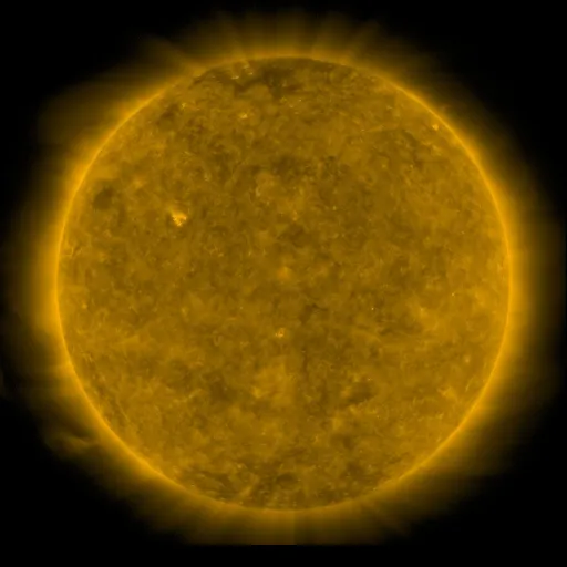 Solar Corona