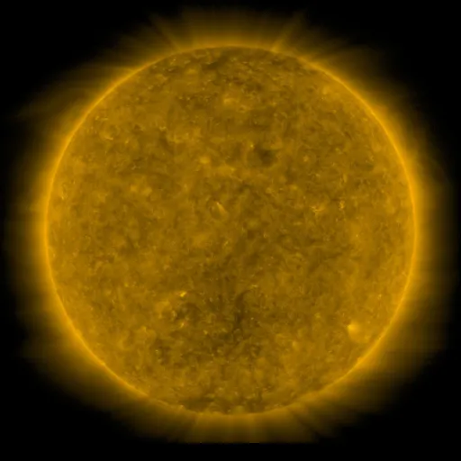 Solar Corona