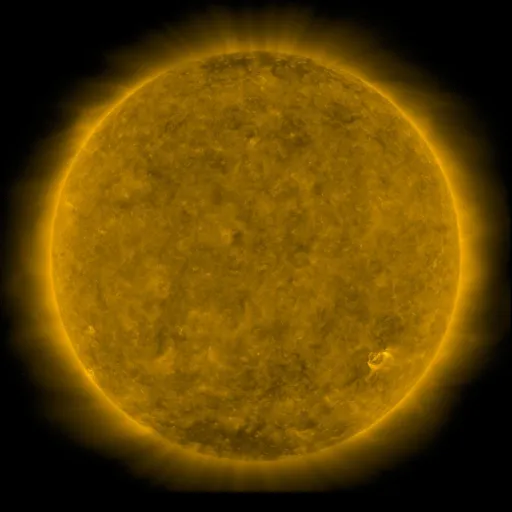 Solar Corona