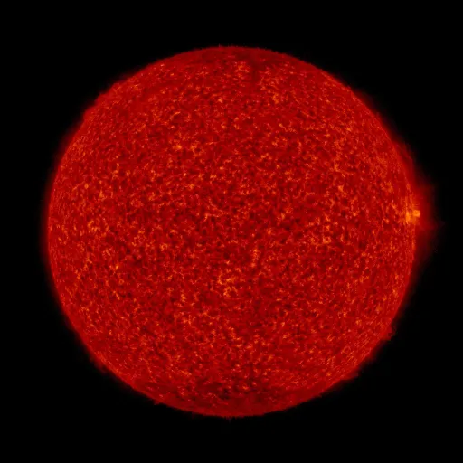 Solar transition region