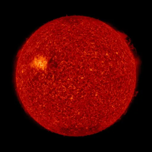 Solar transition region