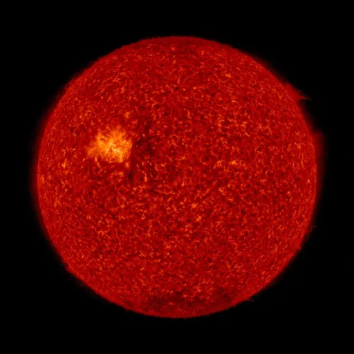 Solar transition region