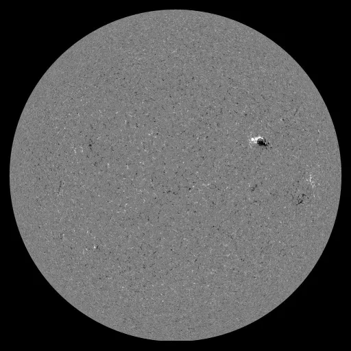 Solar Magnetic Fields