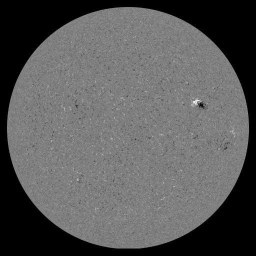 Solar Magnetic Fields