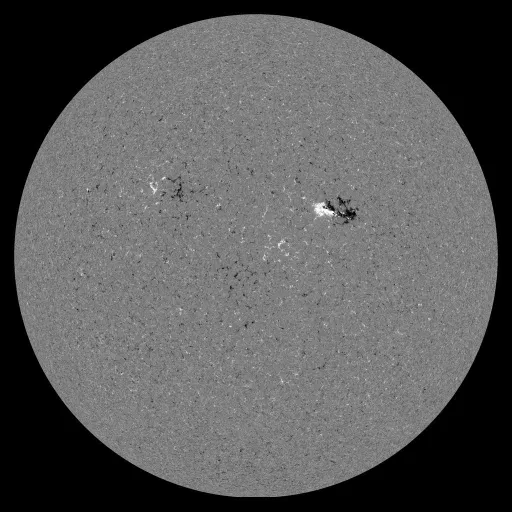 Solar Magnetic Fields