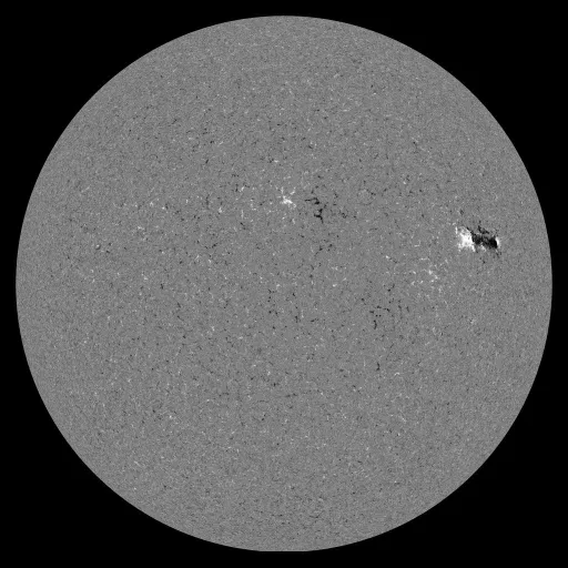 Solar Magnetic Fields
