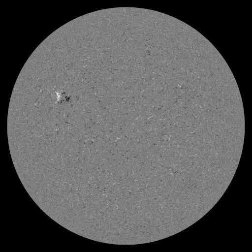 Solar Magnetic Fields