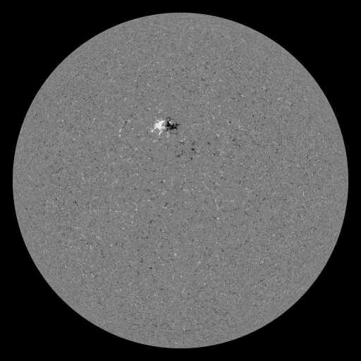 Solar Magnetic Fields