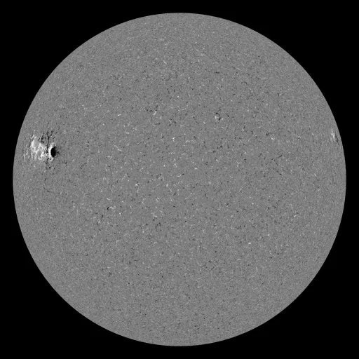 Solar Magnetic Fields