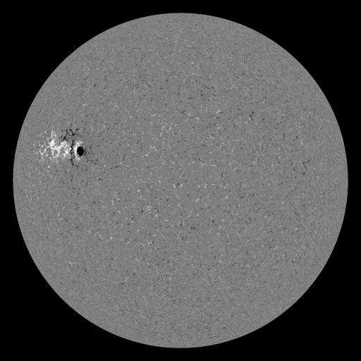 Solar Magnetic Fields