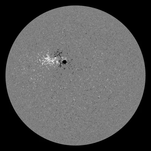 Solar Magnetic Fields