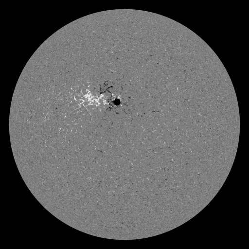 Solar Magnetic Fields