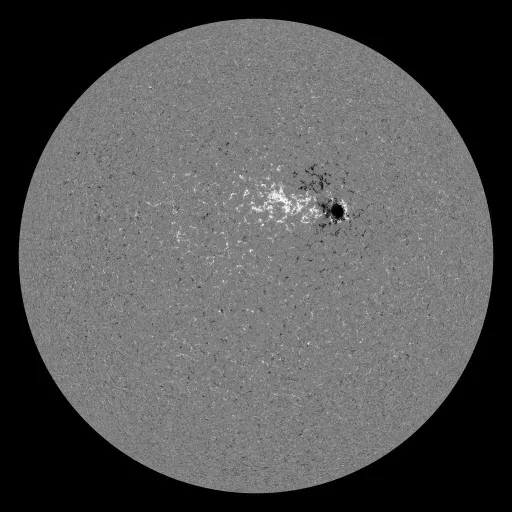 Solar Magnetic Fields