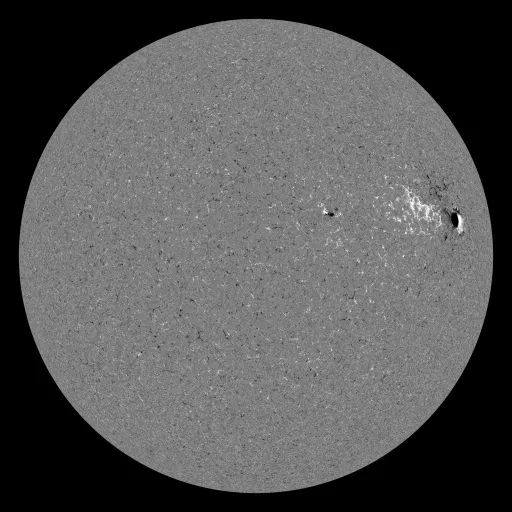 Solar Magnetic Fields