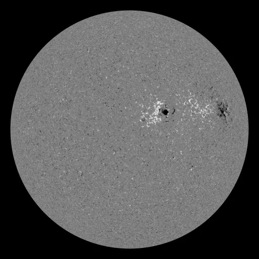 Solar Magnetic Fields