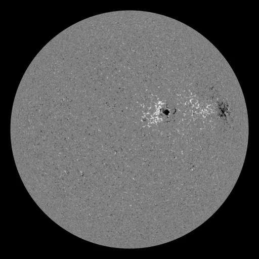 Solar Magnetic Fields