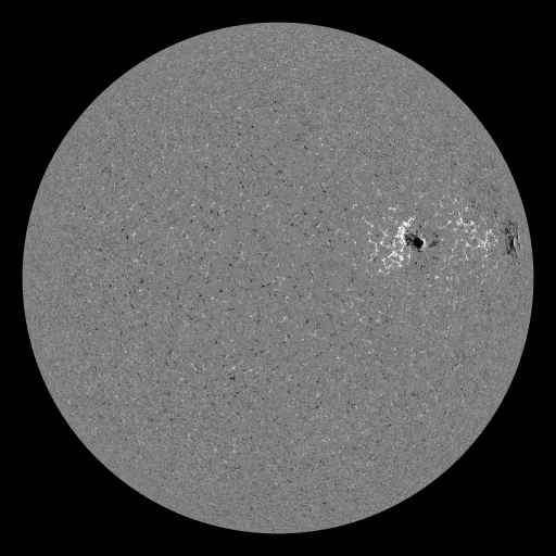 Solar Magnetic Fields