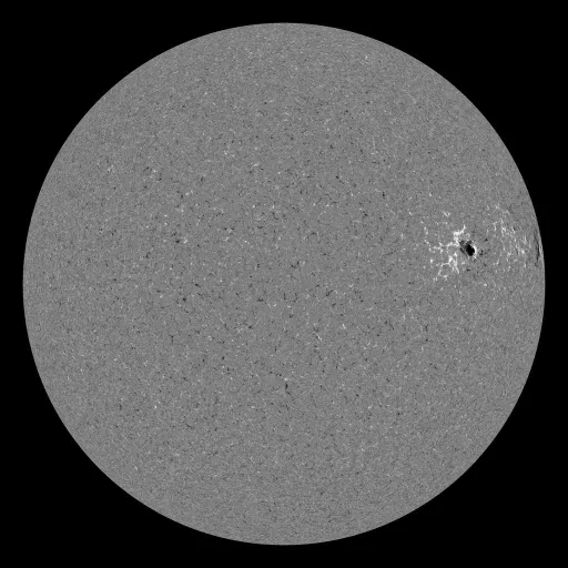 Solar Magnetic Fields