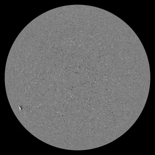 Solar Magnetic Fields
