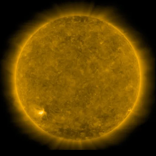 Solar Corona