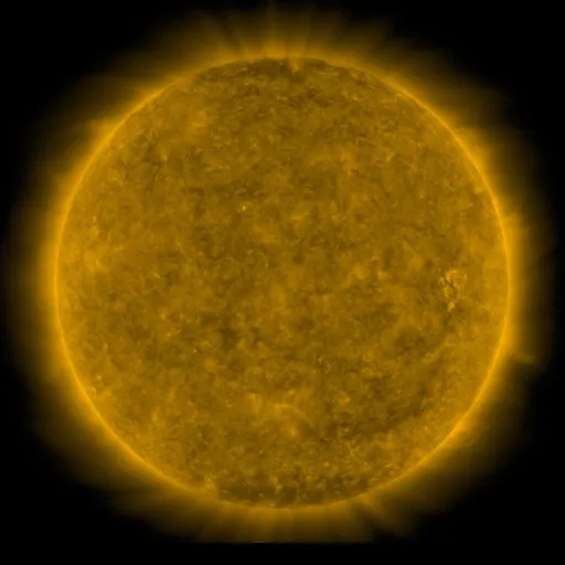 Solar Corona