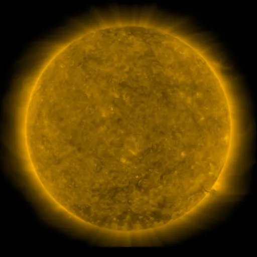 Solar Corona