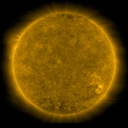 Solar Corona
