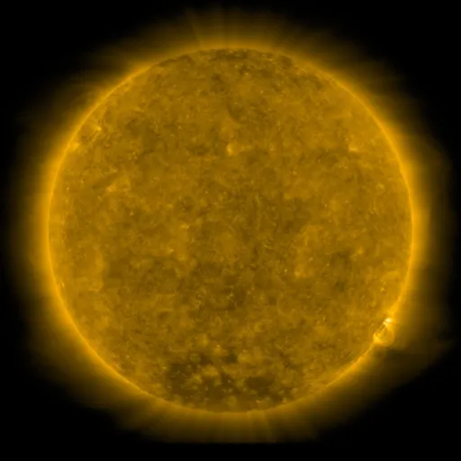 Solar Corona