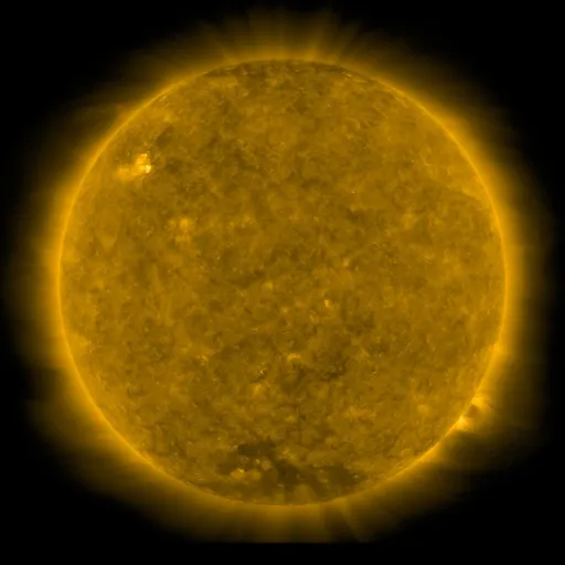 Solar Corona
