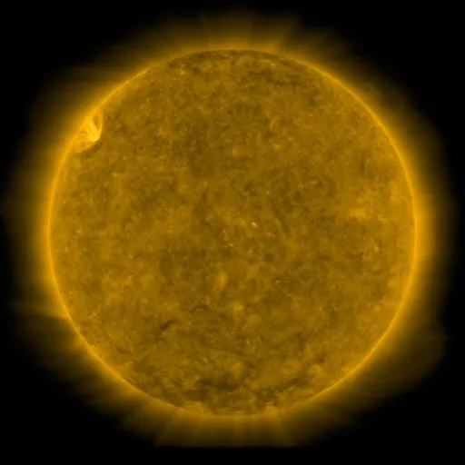 Solar Corona