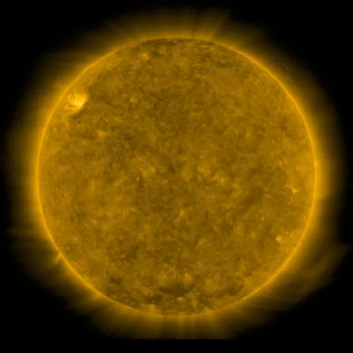 Solar Corona