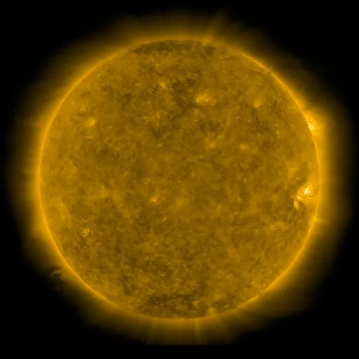 Solar Corona