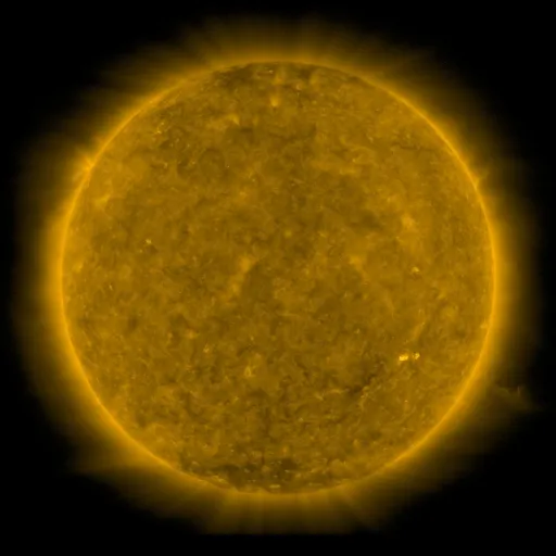 Solar Corona