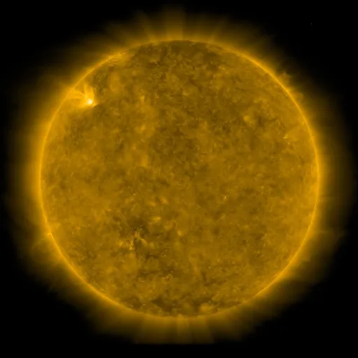 Solar Corona