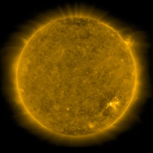 Solar Corona