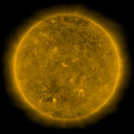 Solar Corona