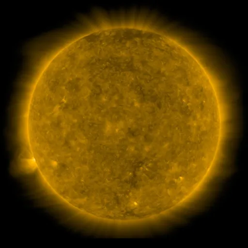 Solar Corona