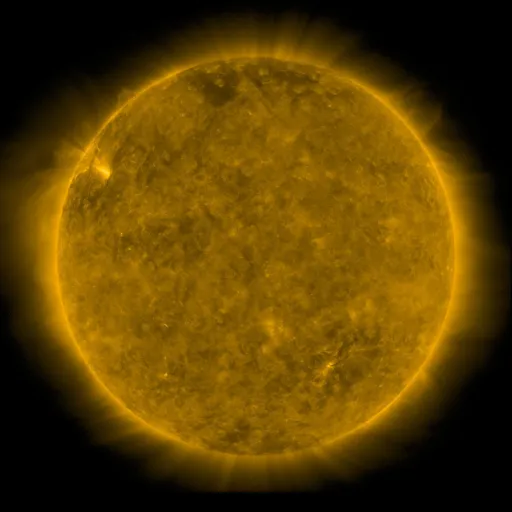Solar Corona