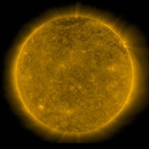 Solar Corona