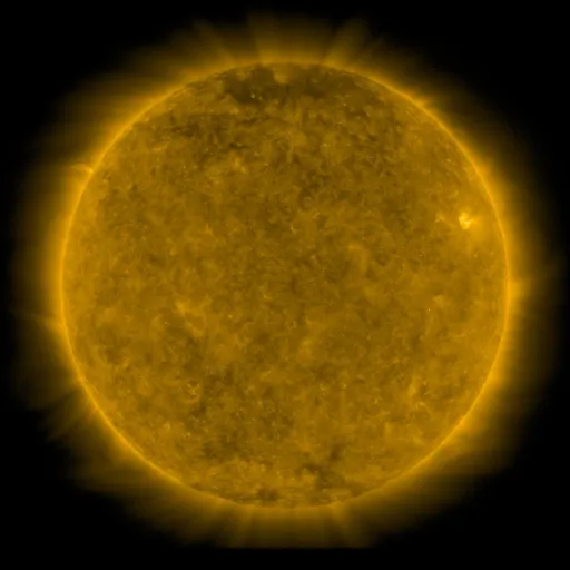 Solar Corona