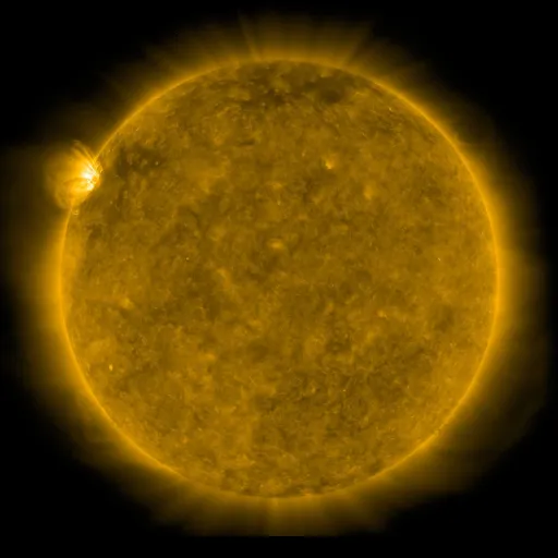 Solar Corona
