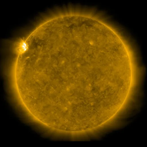 Solar Corona