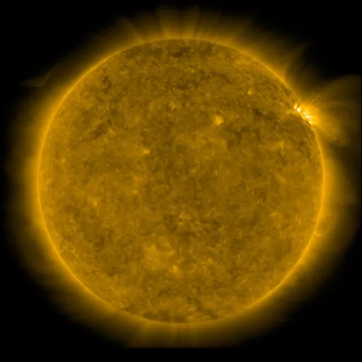 Solar Corona