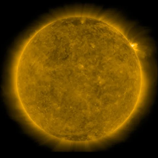 Solar Corona