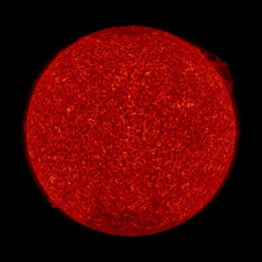 Solar transition region